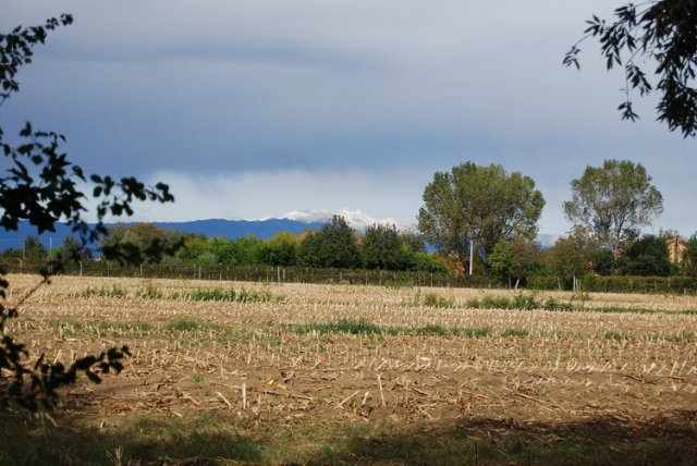 boscodisanstino.ilbello.com/images