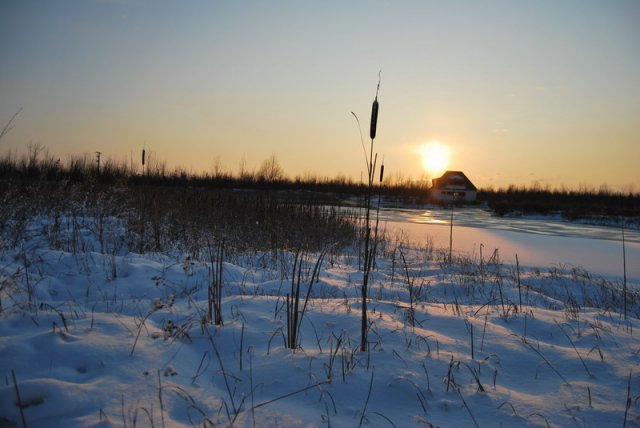 boschi-brandiziol-pracasson-san-stino-di-livenza-photogallery-nevicata