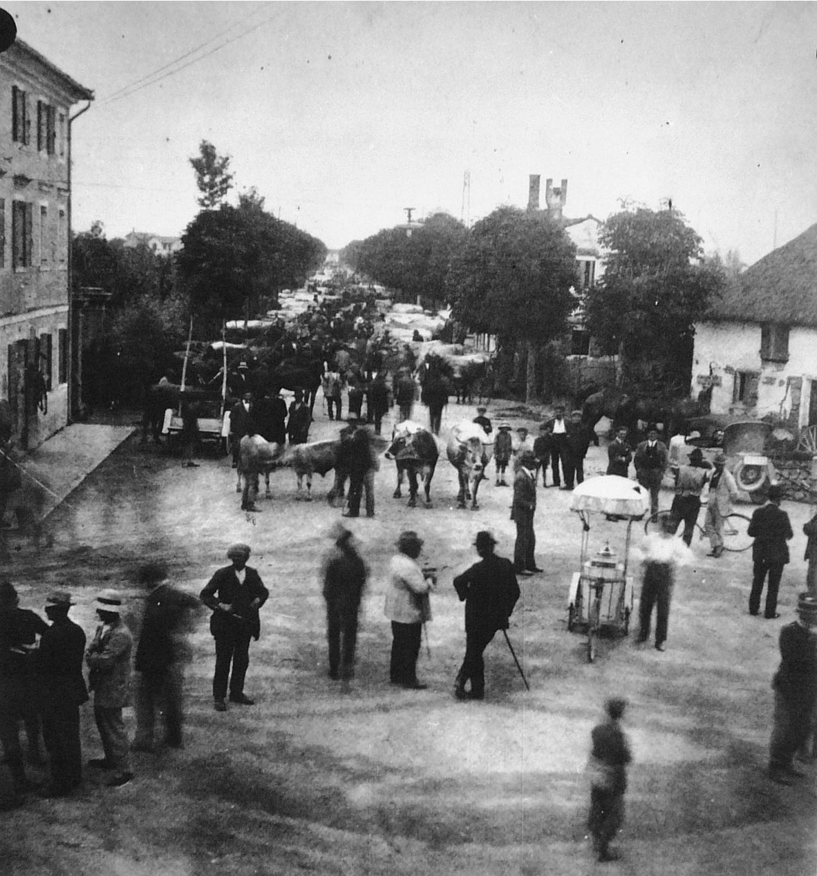 1926-torre-di-mosto-fiera-del-bestiame-in-viale-Roma-web