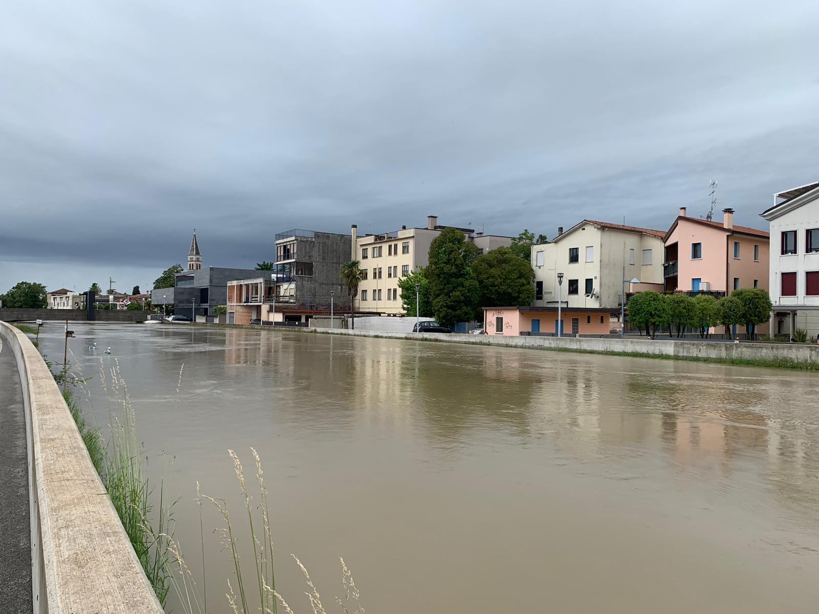 piena-del-piavon-a-ceggia-tgr-rai-veneto-29.5.2019-foto-Arianna-Garavaglia